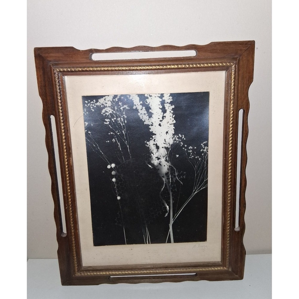 Vintage Framed Botanical Photogram Art – Signed B. Doughey 1973 – Mid Century